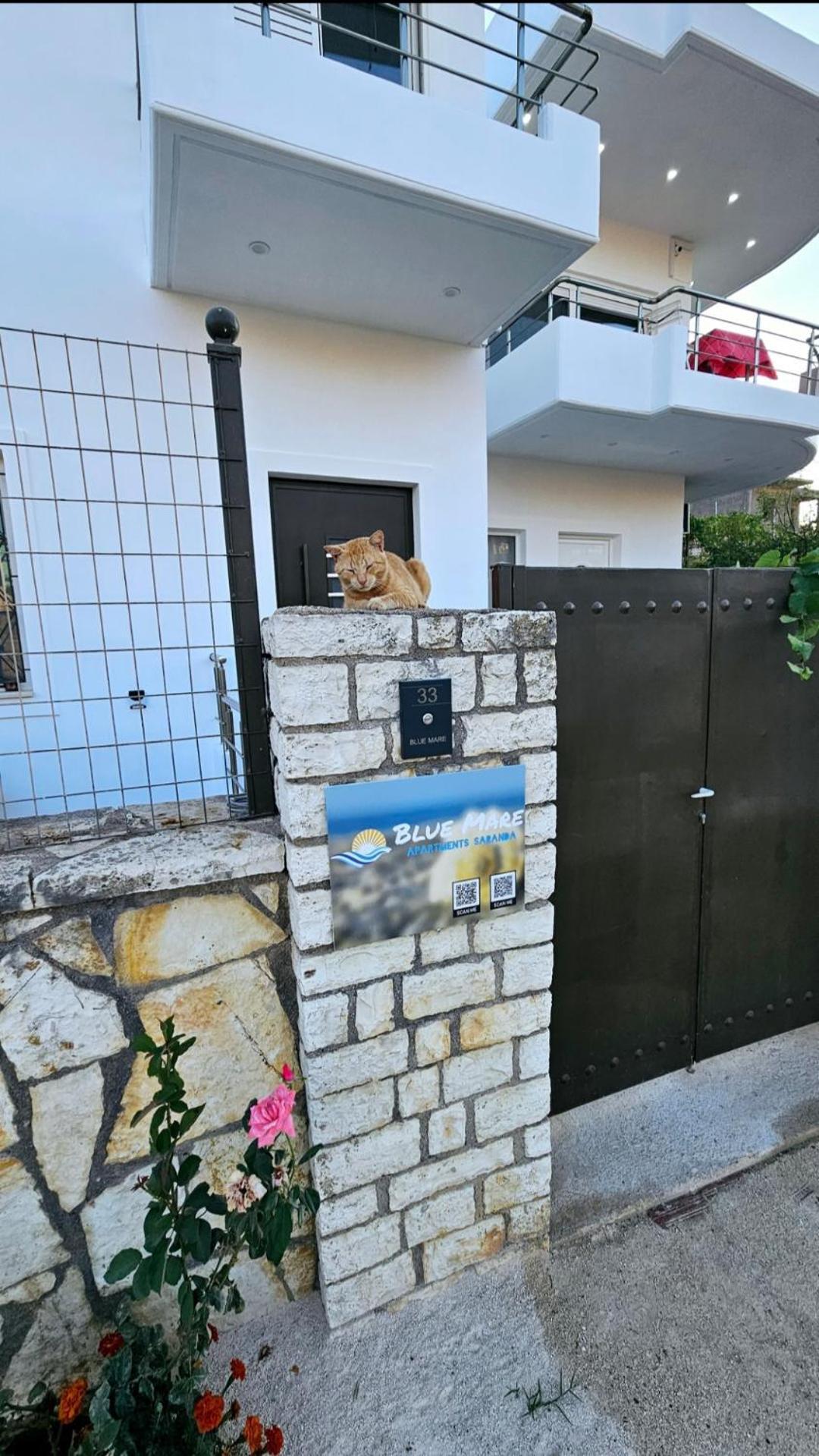 Blue Mare Apartments Sarandë Eksteriør billede